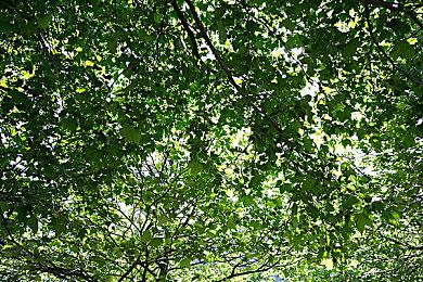 《死亡循环》第一个PC补丁上线 但卡顿问题并没有解决